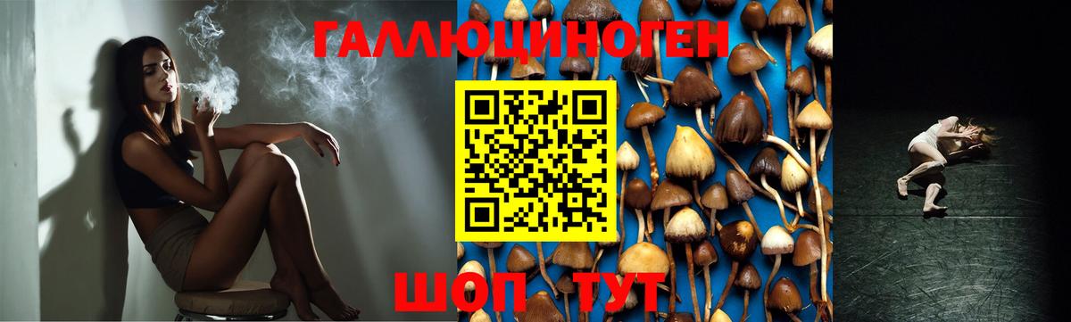 Знаменск  Галлюциногенные грибы ЛСД  Вход с VPN 